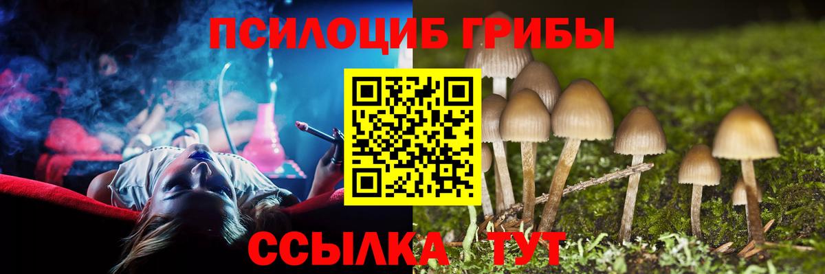 Находка  Галлюциногенные грибы Magic Shrooms  Псилоцибиновые грибы мухоморы  Вход с VPN 